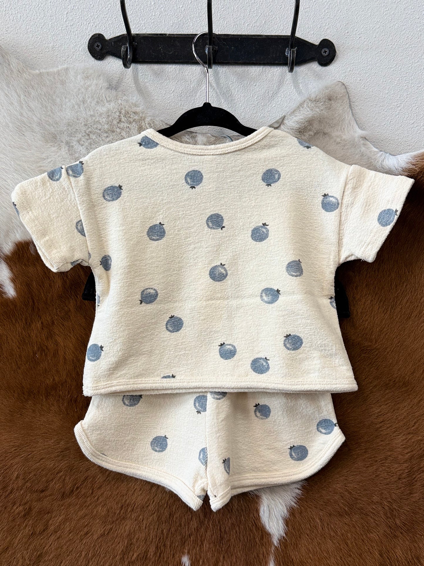 Blueberry Spongy Play Set