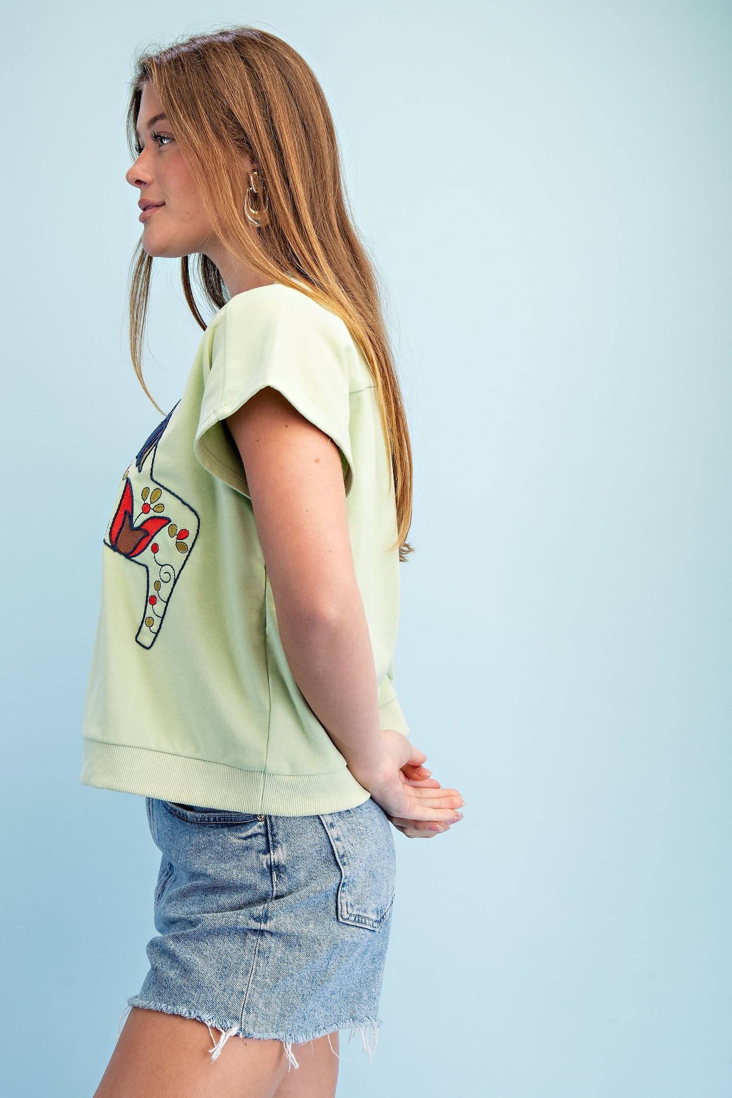 Sage Top