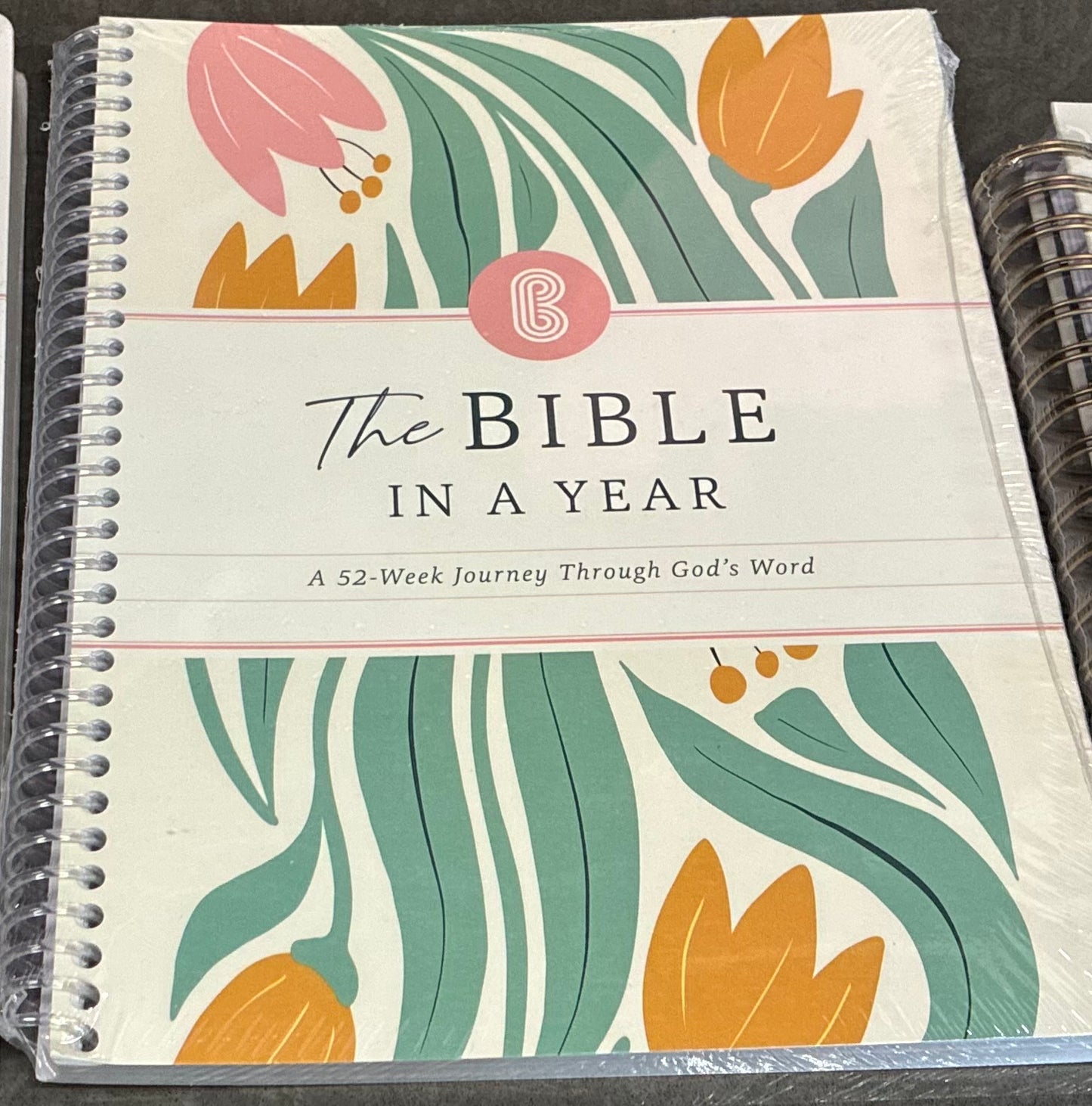 The Bible In A Year: A 52-Week Journey Through God's Word