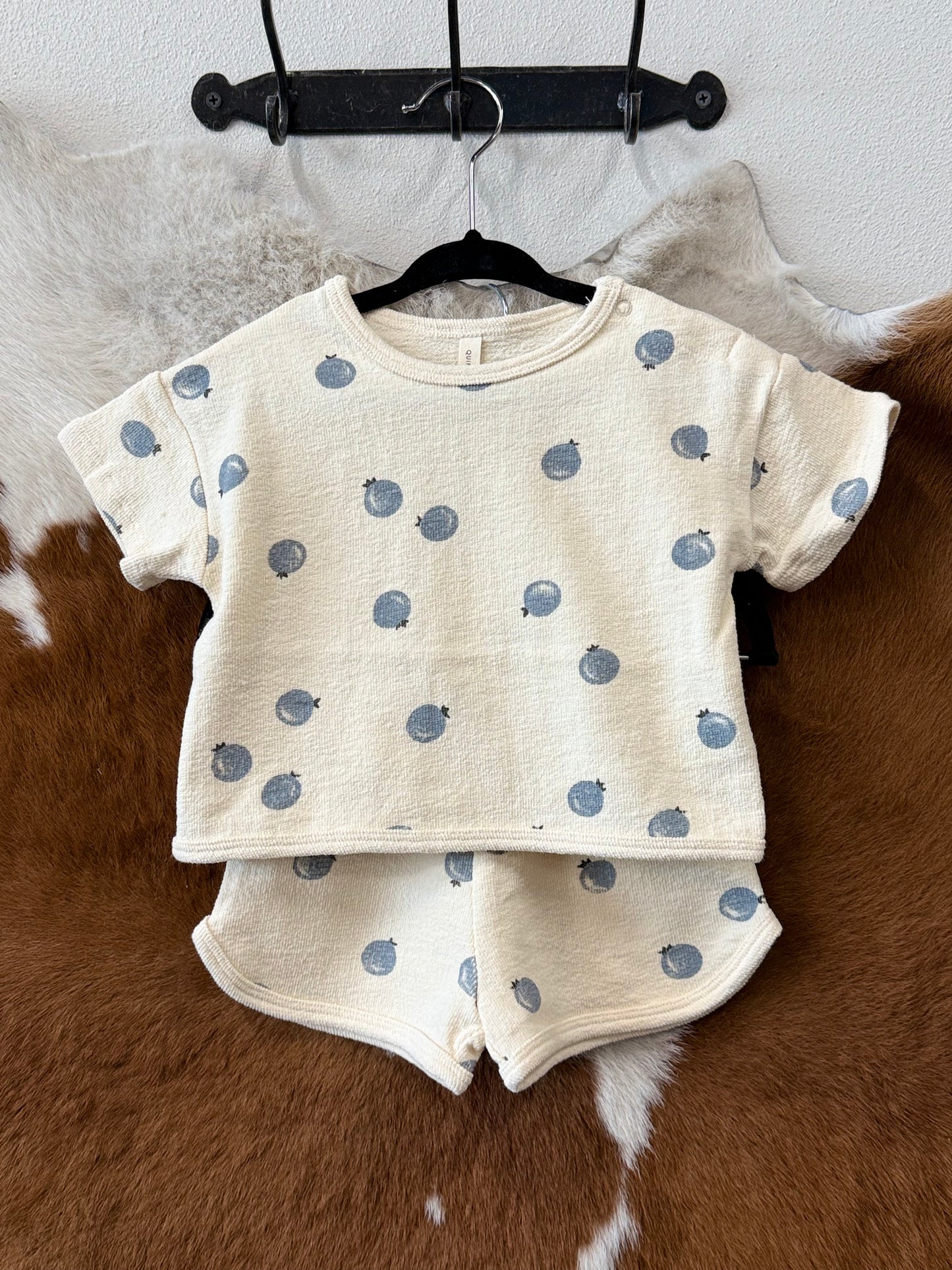Blueberry Spongy Play Set