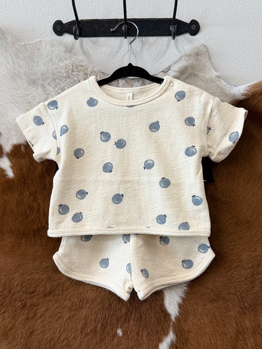 Blueberry Spongy Play Set