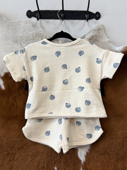 Blueberry Spongy Play Set